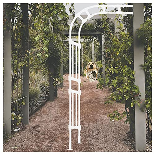 Gartenbogen aus Metall, 240 cm hoch, wetterfest, verzinkt, rostfrei, Kletterstütze für Pflanzen und Ranken, elegantes weißes Finish, für Gärten und Terrassen