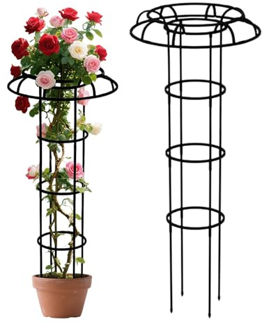 Wezalget Blauregen Schirm Rankhilfe, Rankhilfe Obelisk, Vertikales Rankgitter aus Metall, Wetterfest Garten Rankgitter, Pflanze Spalier für Topfpflanzen, Glyzinien, Rosen, Clematis