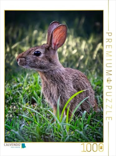 CALVENDO Puzzle Niedliche Hasen | 1000 Teile Lege-Größe 48 x 64 cm Foto-Puzzle für glückliche Stunden