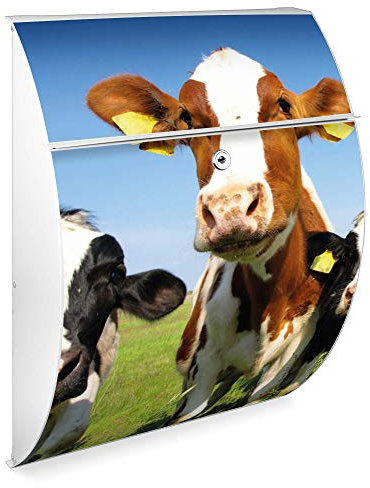 Burg Wächter Design Briefkasten | Modell Riviera 46cmx33,5cmx13cm groß | verzinkter Stahl Weiß | Postkasten mit Öffnungsstopp, großer A4 Einwurf, Zylinderschloss, 2 Schlüssel | Motiv Kühe