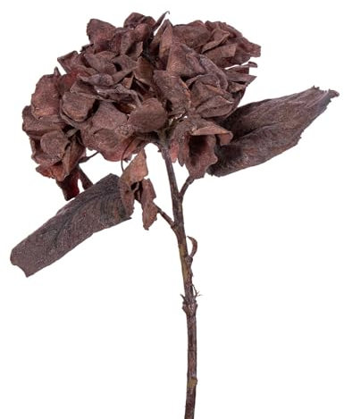 Vickerman Lot de 6 sprays d'hortensia séchés artificiels marron foncé de 33 cm.