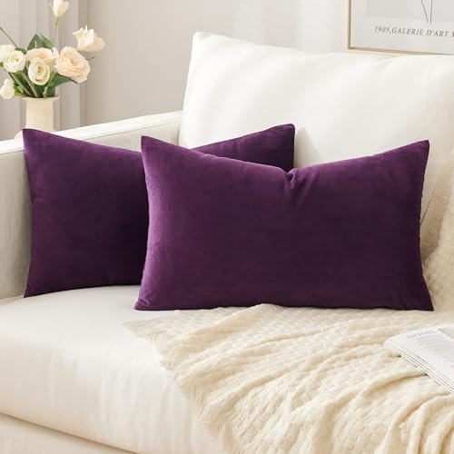 Slozzi 2er Set Samt Kissenbezüge Haushalt Dekokissen Dekorative Kissenhülle Weich Sofakissen für Sofa Schlafzimmer Wohnzimmer 30x50 cm Lila
