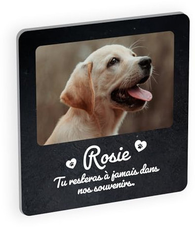 Placa de recuerdo conmemorativa de plexiglás para mascota, homenaje funerario personalizable para gato o perro fallecido con foto y texto, fijación adhesiva de granito