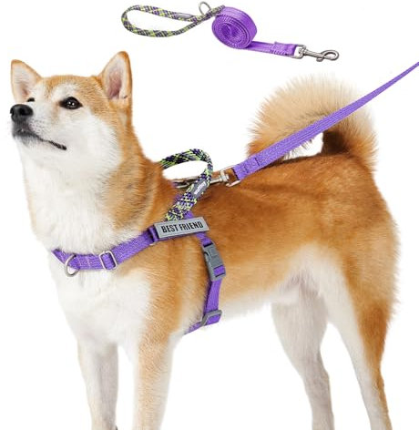 Wuffley Anti-Zug Hundegeschirr mit Leine, Hundegeschirr Kleine Mittelgroße Hunde, Geschirr Hund mit Griff und 2 Aufnähern, Reflektierendes, Leichtes Brustgeschirr Hund für Outdoor-Training(Lila,S