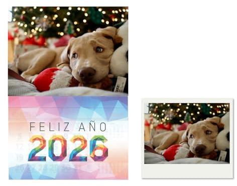 GRUPO DARIK Calendario Magnético 2025-2026 para Nevera - Papel fotografico Planificadores Mensuales con Imán Extra Fuerte para Refrigerador, Organizadores de Cocina y Hogar