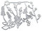 Pjeghbvop 1 Satz Blüten Gras Metall Stanzformen Wildpflanzen Prägeschablone Scrapbooking Grußkartenherstellung Albumvorlage Stanzformen Dekoration Handwerk
