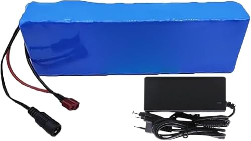 Caimcie Batteria al Litio Ricaricabile 24V 40Ah 7S3P con BMS e Caricabatterie, Batteria di Ricambio per Bici elettrica e Monopattino Elettrico. XT30+JST