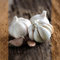 FLORTUS 2000-0552 XXL Winterpflanzknoblauch Blanc de Lautrec (Pflanzknoblauch)
