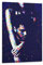 XXJDSK Druck Auf Leinwand The Weeknd Trilogy Poster Dekorative Malerei Leinwand Wandkunst Wohnzimmer Poster Schlafzimmer Malerei 60X90cm Kein Rahmen