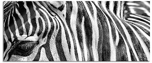 Pixxprint Glasbild Panorama, Wandbild aus Echtglas, Zebra Porträt, 120x50 cm, inkl. Aufhängung und Abstandshalter