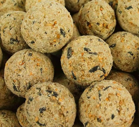 BusyBeaks Meisenknödel ohne Netz - Premium-Vogelfutter für Wildvögel, verbesserte Wildvogelfutter Ganzjahres-Formel, Energie- & proteinreiches Futter, nahrhafter Fettfutter (25 Stück)