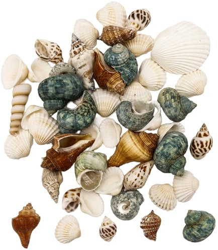 Nurila Muscheln Gemischt, 200g Muscheln Zum Basteln, Muscheln Deko Shells Zum Basteln, Perfekt Für Vase Füllstoffe Vase, Füller Strand Home Hochzeit Dekorationen DIY Handwerk