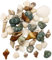 Nurila Muscheln Gemischt, 200g Muscheln Zum Basteln, Muscheln Deko Shells Zum Basteln, Perfekt Für Vase Füllstoffe Vase, Füller Strand Home Hochzeit Dekorationen DIY Handwerk