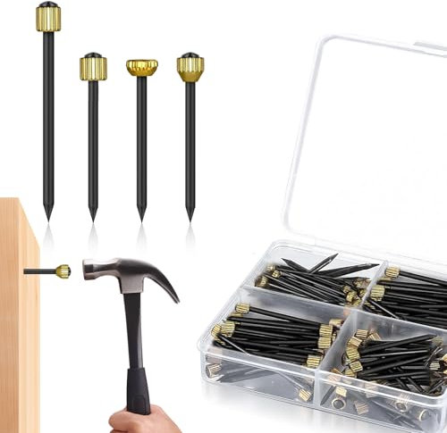 120 Stück Bildernägel Set, 4 Größen Nägel Bilder Aufhängen Messing Kopfstifte Stahlnägel mit Aufbewahrungsbox für Wand Bilderrahmen und Dekorationen