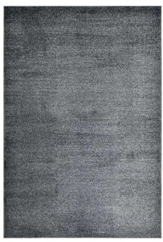Home Deluxe - Teppich FOFI - Farbe: Grau, Größe: 180 x 120 cm - Allergikerfreundlich, Floorhöhe: 1,5 cm, 100% Polypropylen Friese I Floorteppich Shaggy Designteppich