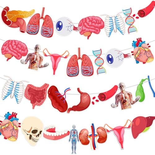 4 Schnüre 28 Stück Anatomie-Themen-Hängende Banner, menschliche Körperteile Lern-Ausschnitte Girlande für Klassenzimmerdekoration, Wissenschafts-Partybedarf, Schulmaterialien und Arztpraxis-Deko