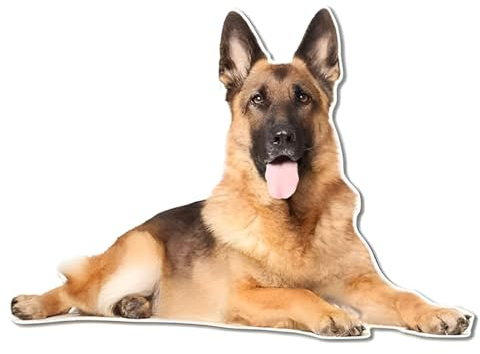 Autoaufkleber Belgische Malinois Autoaufkleber 15cm(5.9 Inch) 3D Zerrissen Reflektierende Aufkleber Belgische Schäferhund Haustier Hund Aufkleber Wasserdichte Laptop Aufkleber