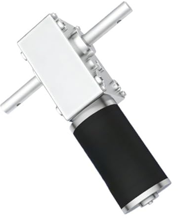 Micro moteur à engrenages à vis sans fin 5840-31zy, 12 volts, Mini moteur brossé à arbre Double sortie, 24V(10rpm,12V)