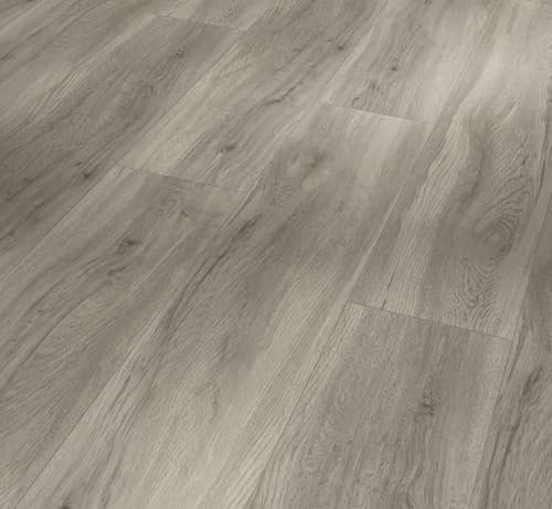 Parador Designboden Vinyl Basic 5.3 Eiche pastellgrau Gebürstete Struktur Landhausdiele 4-seitige Fase