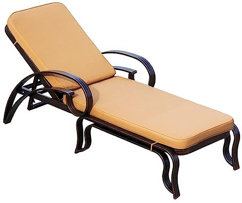 ZzZana Chaise Lounge für Draußen, Aluminium Lounge Stühle, mit 5 Verstellbaren Positionen, Sonnenbaden Liege für Pool, Veranda, Terrasse, Garten