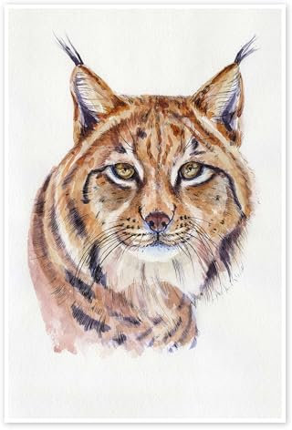 Aquarell Luchs Poster von Kidz Collection 40 x 60 cm Braun Wandbilder Wanddeko