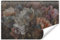 Muralo - 3D Tapete Vliestapete - Fototapete 3d Effekt - Tapete für Wohnzimmer Schlafzimmer Wandtapete - Fototapete - Abstrakte gemalte Pfingstrosen Motiv - Br.416cm x Hö.290cm