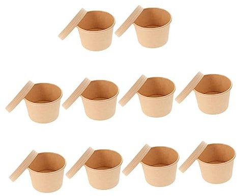 PLAFOPE Coppette Per Gelato e Ciotole Per Dessert Monouso 8oz Set Da 10 Coperchio in Carta Kraft Per Gelato Estivo Snack e Yogurt Da Asporto