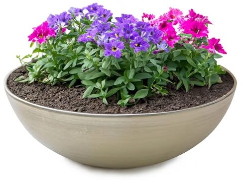 matches21 HOME & HOBBY Pflanzschale für draussen in Champagner beige 25 x 9 cm als wetterfeste Blumen-Schale