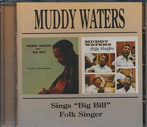 Sings Big Bill Broonzy/Folk Singer