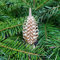 Büttners Holzkunst Spanbaum - Höhe 8cm Holzbaum Erzgebirge Weihnachten Dekoration Fensterdeko Holzschmuck Holz Handarbeit Baum