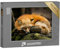 puzzleYOU: Puzzle 1000 Teile „Schlafender Rotfuchs“ – aus der Puzzle-Kollektion Füchse, Tiere in Wald & Gebirge