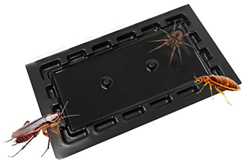 HUL 6 x Multi-Use Bugs Sticky Pads Trap | Efficient Pack Of Invertebrates Glue Traps | Extra Strong Bugs Glue Sticky Board Traps | Home Garden and Office Use.