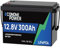 EconomiPower batterie lithium 12v 300ah lifepo4, 200A BMS intégré, 8000+ Cycle profond lifepo4, 3840Wh Energie pour moteur de pêche à la traîne, camping-car, marine, solaire et hors-réseau