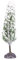 Rayher 66066000 Deko-Zypresse Beflockt, 15cm, grün, PVC-Box 1Stück