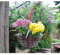 Garden Mile® Fioriera da giardino da appendere, 30,5 cm, rotondo, in rattan scuro, per esterni, con catena sospesa, cestino per fiori in vimini, decorazione per balcone