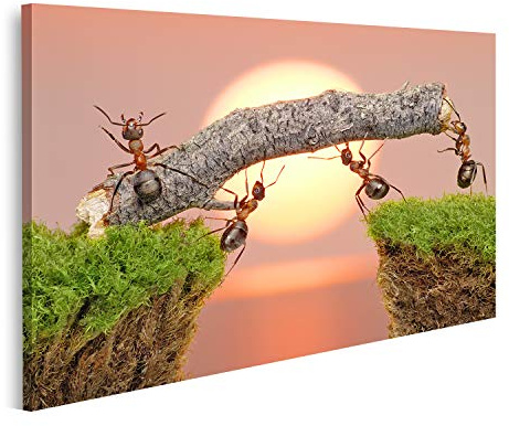 islandburner Bild auf Leinwand Team Ameisen Arbeiten Beim Bau Einer Brücke Bilder Wandbilder Poster