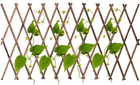 Rankgitter für Gemüse | Erweiterbar Garten Rankgitter - Zaunblende für Kletterpflanzen Ranke Efeu Gurken Clematis Outdoor Gitter