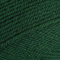 Bottle Green Stylecraft Special DK Yarn - 100g Skein, 295m Length, DK Weight