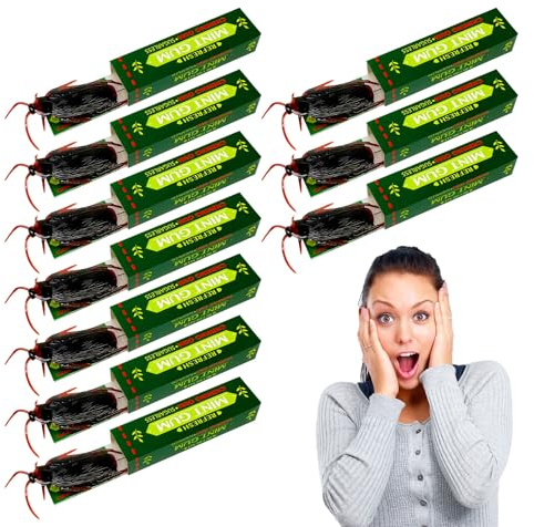 Bajbumgn Farce Choc,10 Pièces Gadgets à Blague Cafards | Gadget Réaliste Effrayant et Amusant pour Bureau Halloween Anniversaire - Cadeau Anniversaire Noël Halloween et Fêtes