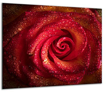 TMK - Plaque de protection en verre - 60 x 52 cm - Pour cuisinière électrique - Protection contre les éclaboussures - Plaque en verre - Décoration - Planche à découper - Rose