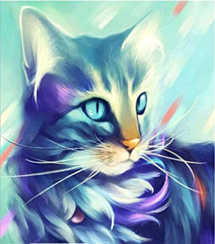 Diamant Painting Set - Cartoon Katze Diamond Painting Bilder Dekorative Gemälde Geschenk für Erwachsene Kinder Wohnzimmer Schlafzimmer Büro Wand Und Eingang Dekoration (30cm*40cm) (B)