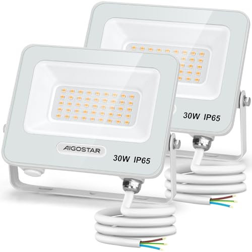 Aigostar Foco LED Exterior 30w, 2450LM Foco Proyector LED, IP65 Impermeable Luz de Seguridad, Natural 4000K Luces led exterior, Para Jardín, Patio, Garaje, Paquete de 2