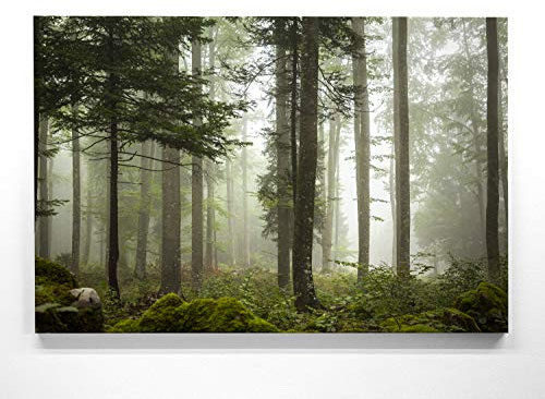 EIN Atemberaubendes Bild – Nebel im Wald - als 90x60cm große XXL Leinwand. Tolles Wandbild als Hintergrund und Deko für Wohnzimmer & Schlafzimmer. Fertig aufgespannt auf 4cm Holz-Keilrahmen
