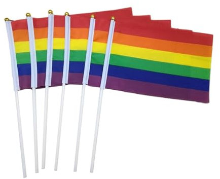 FONDOTIN Stücke Mini Pride Month Flaggen Homosexuell Stick Flaggen Parade Dekorationen für Pride Events