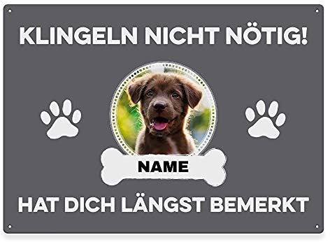 Hunde Schild personalisiert - Klingeln nicht nötig - Metallschild mit Foto und Name für außen, wetterfestes Türschild für Hundebesitzer - ca. DIN A4-28 x 20 cm, ein Tier, grau