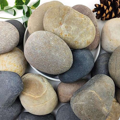 YISZM 20lbs Natural River Rocks, 3-4 Premium Pebbles for Garden and Landscape Design, Hand-Picked Smooth Stones for Fish Tank, Flower Pots, Indoor Water Fountains, Pathways, Backyard