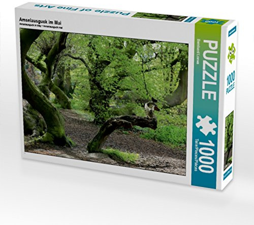 CALVENDO Puzzle Amselausguck im Mai | 1000 Teile Lege-Größe 64 x 48 cm Foto-Puzzle für glückliche Stunden