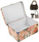 BESPORTBLE Boîte De Rangement À Combinaison Petites Clés Boîte De Rangement En Fer Blanc Boîtes De Rangement Avec Couvercles Grand Cadenas Boîtes De Rangement Pour Armoires Lourdes
