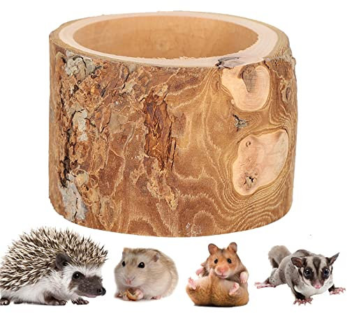 Comedero para Hámster, Cuenco Antimordidas Resistente y Estiloso para Roedores Pequeños, Hámsters Enanos, Sirios, Jerbos, Ratones, Ratas, Degús, Alimentación Segura y Cómoda para Mascotas