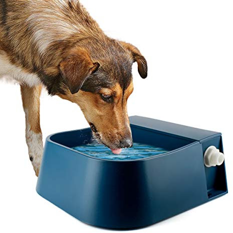 Lesypet Dog Automatic Water Bowl, Outdoor Dog Water Bowl Auto-Fill Waterer Float Valve Bowl for Dog Goat Cat, Blue 2L